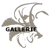 Galerie